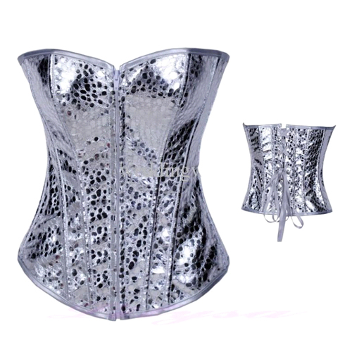 Silver Lingerie Corset