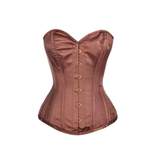 Simple Brown Satin Corset